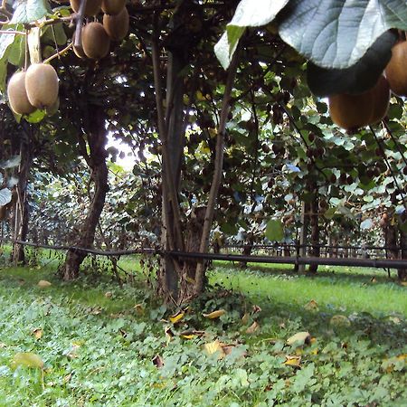 Agriturismo Sant' Anna Villa Treviso Esterno foto